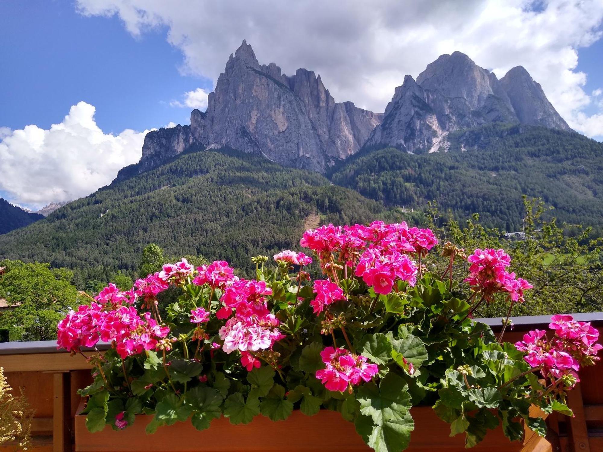 Apartment Euringer Villa Erna Siusi Bagian luar foto